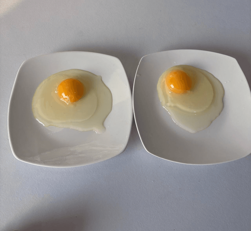 Chap tomonda –davlat tuxumi, o’ng tomonda- uy tuxumi