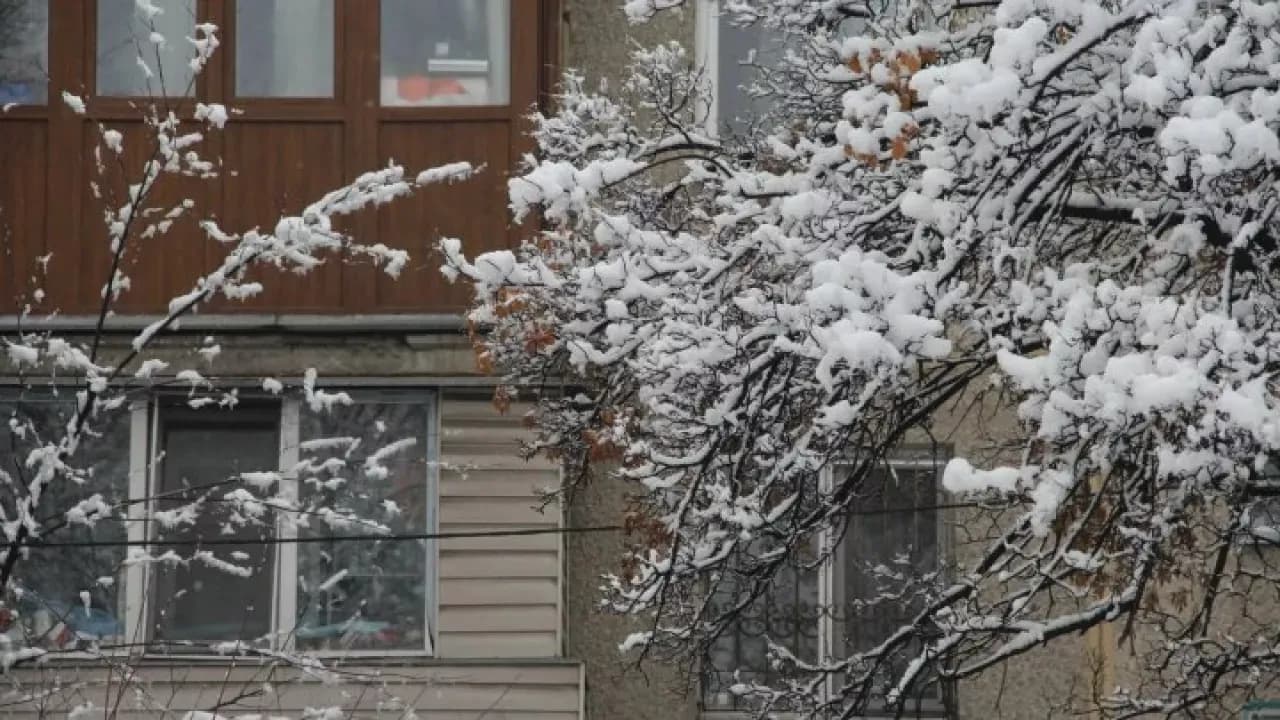 O‘zbekistonda 19–25 yanvar kunlari ob-havo qanday bo‘ladi?