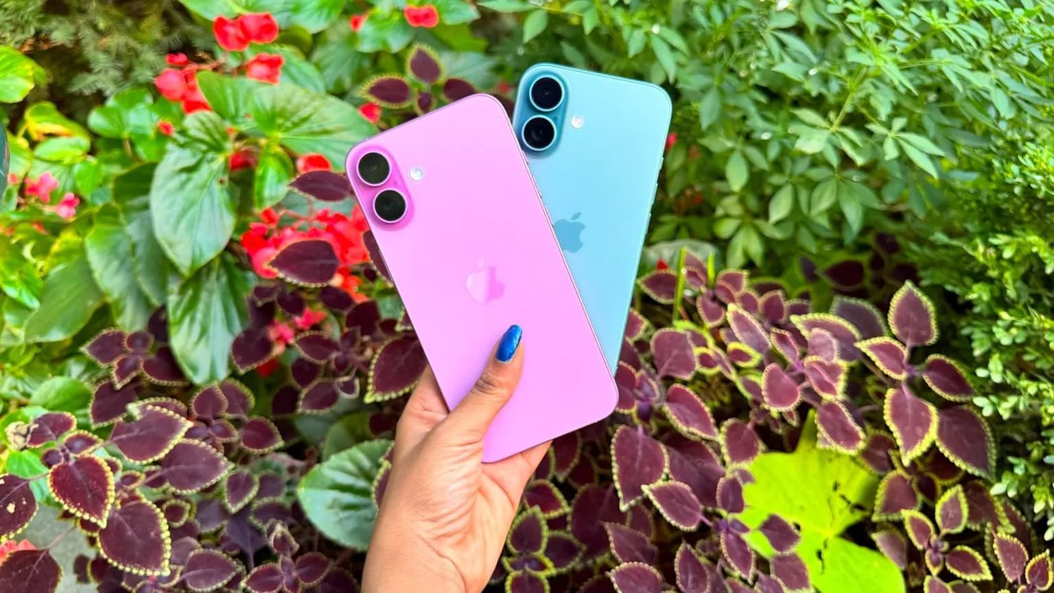 iPhone uchun eng arzon rasrochka qayerda? – O’zbekistondagi yirik texnomarketlar tahlili